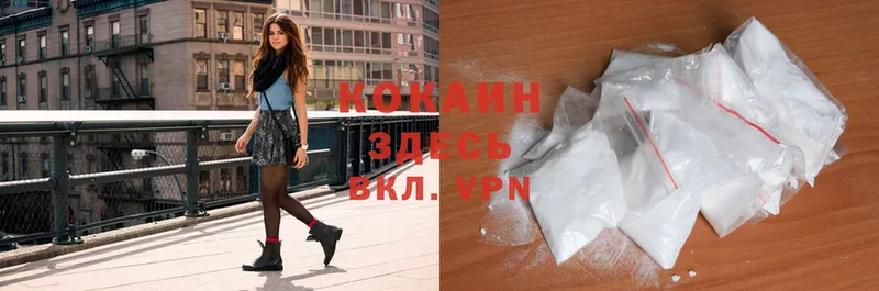 цена   Кинель  COCAIN Fish Scale 