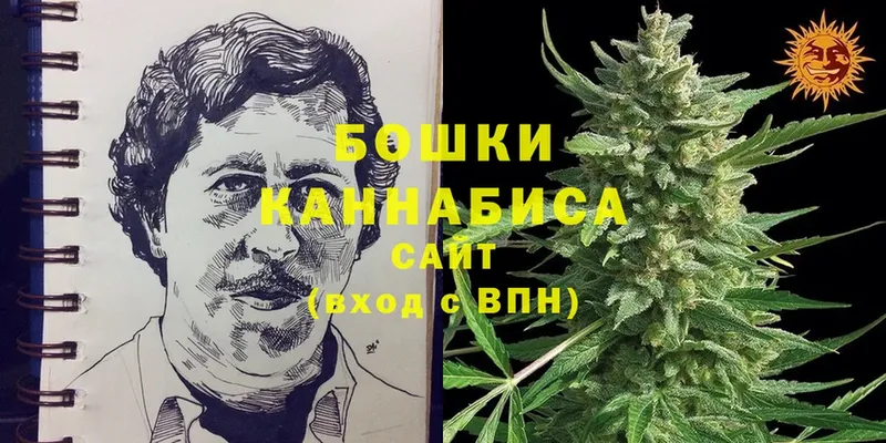 Каннабис OG Kush  Кинель 